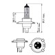 PHILIPS 12342WVUSM ΣΕΤ H4 White Vis Ultra (2ΧΗ4) PHILIPS 12342WVUSM ΣΕΤ H4 White Vis Ultra (2ΧΗ4)