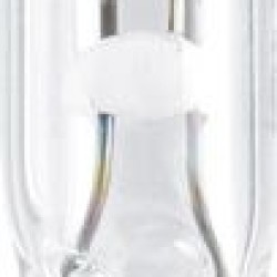 PHILIPS 12516CP W1,2W 12V