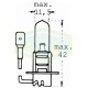 ΛΑΜΠΑ Η3 Μ.Κ. 12V 055W 