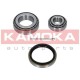 ΣΕΤ ΡΟΥΛΕΜΑΝ ΤΡΟΧΟΥ KAMOKA 5600021 – FORD TRANSIT TOURNEO / TRANSIT 2.0-2.9 / 2.5 DI / 2.5 TD ΣΕΤ ΡΟΥΛΕΜΑΝ ΤΡΟΧΟΥ KAMOKA 5600021 – FORD TRANSIT TOURNEO / TRANSIT 2.0-2.9 / 2.5 DI / 2.5 TD
