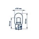 NRV17629 ΑΚΑΛΥΚΗ 12V-21W(ΠΟΡΤ) NRV17629 ΑΚΑΛΥΚΗ 12V-21W(ΠΟΡΤ)