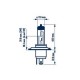 NRV48881 H4 12V-60/55W NRV48881 H4 12V-60/55W