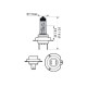 PHILIPS 12972WVUSM ΣΕΤ H7 White Vis Ultra (2ΧΗ7) PHILIPS 12972WVUSM ΣΕΤ H7 White Vis Ultra (2ΧΗ7)