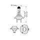 PHILIPS 12972XVPS2 ΣΕΤ H7 X-TREME VISION PRO 150 PHILIPS 12972XVPS2 ΣΕΤ H7 X-TREME VISION PRO 150