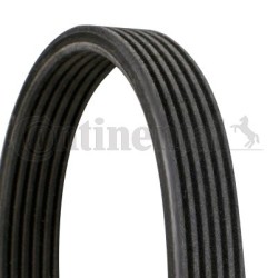 ΙΜΑΝΤΑΣ CONTINENTAL 6DPK1195