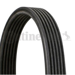 ΙΜΑΝΤΑΣ CONTINENTAL 6DPK1195