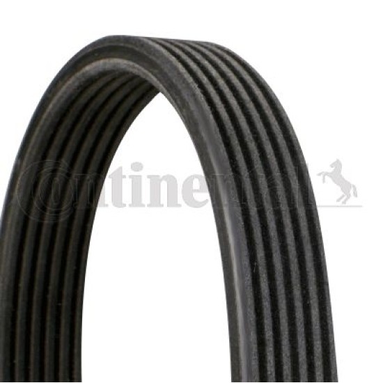 ΙΜΑΝΤΑΣ CONTINENTAL 6DPK1195