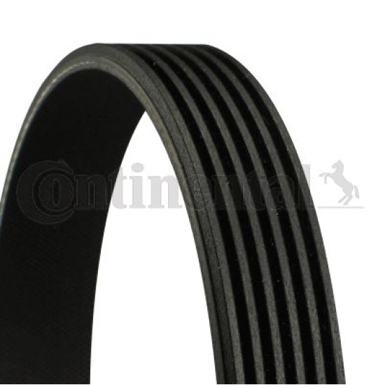 CONTITECH ΙΜΑΝΤΑΣ POLY-V FORD 6PK831ELAST
