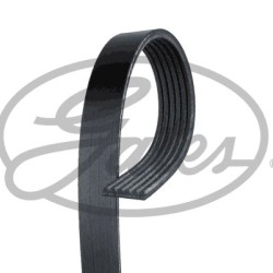 ΙΜΑΝΤΑΣ GATES 6PK750